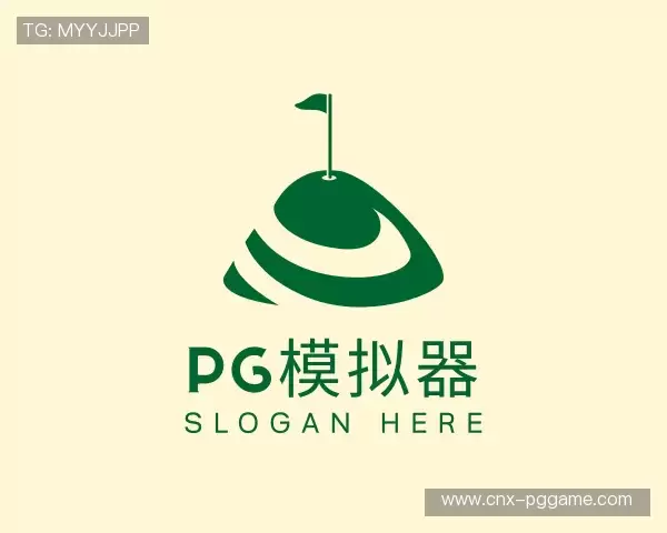 了解pg模拟器